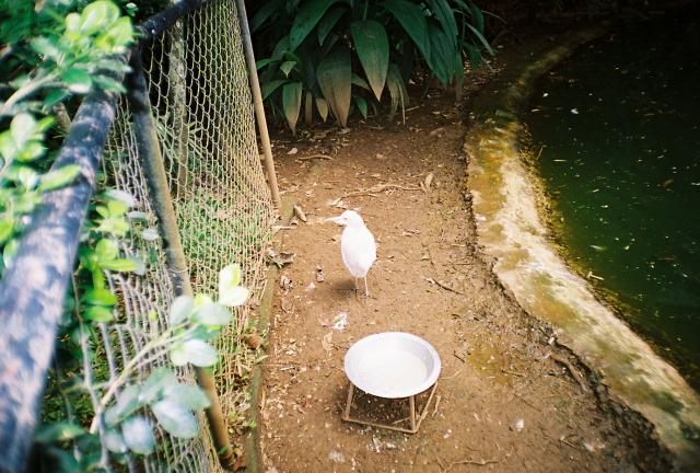 Costa Rica